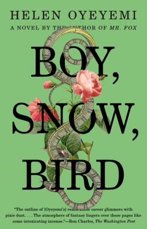 Cover of the book Boy, Snow, Bird by Devon Monk