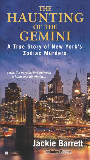 bigCover of the book The Haunting of the Gemini by 