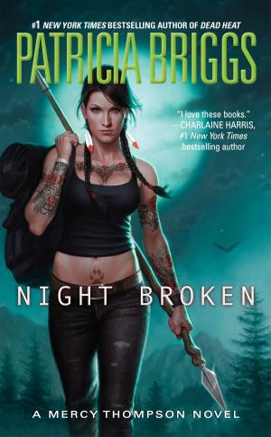 Cover of the book Night Broken by Patrick Ferrer