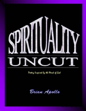 Cover of the book Spirituality Uncut by Nick Robinson