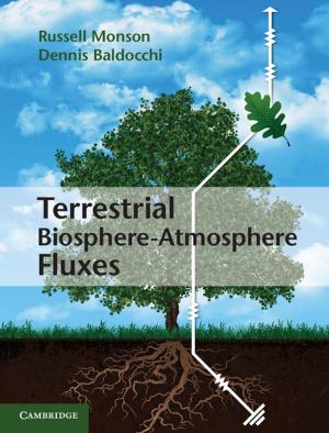 Cover of the book Terrestrial Biosphere-Atmosphere Fluxes by Gabriel L. Negretto