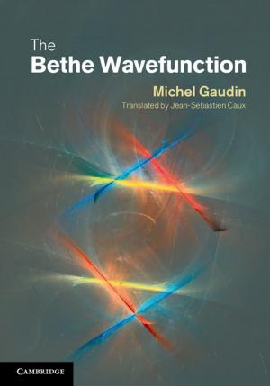 Cover of the book The Bethe Wavefunction by Nathan R. Zaccai, Igor N. Serdyuk, Joseph Zaccai