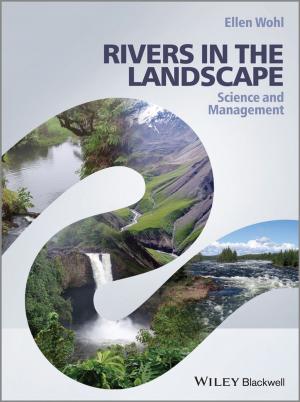 Cover of the book Rivers in the Landscape by Peter Semmelhack