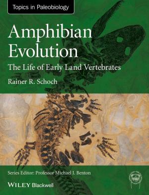 Cover of the book Amphibian Evolution by Faleel Jamaldeen