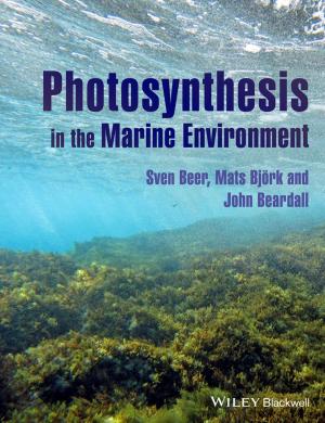Cover of the book Photosynthesis in the Marine Environment by Nicolae Pandrea, Nicolae-Doru Stanescu