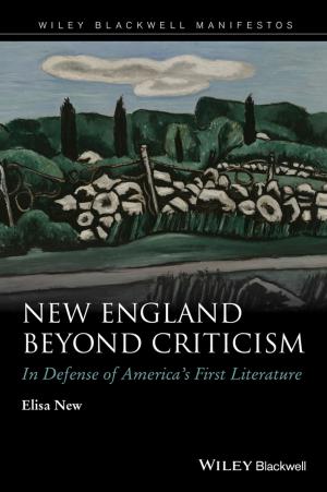 Cover of the book New England Beyond Criticism by Patrick Besson