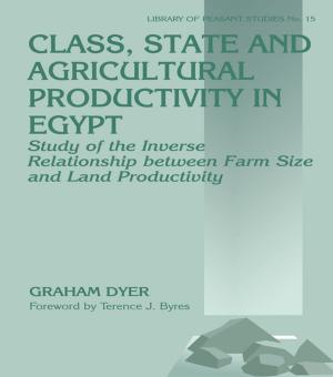 Cover of the book Class, State and Agricultural Productivity in Egypt by Arye L. Hillman
