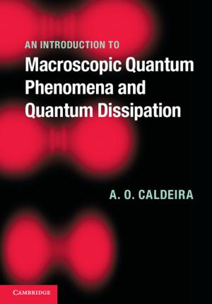 Book cover of An Introduction to Macroscopic Quantum Phenomena and Quantum Dissipation