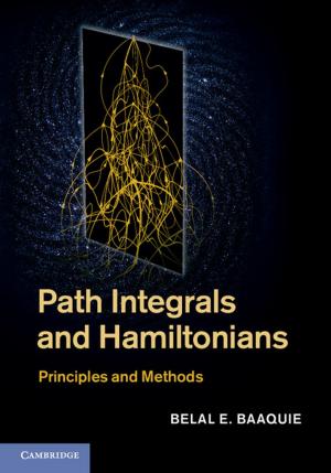 Cover of Path Integrals and Hamiltonians