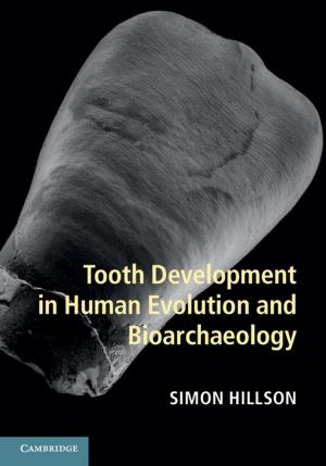 Cover of the book Tooth Development in Human Evolution and Bioarchaeology by Elizabeth J. Wilson, Tarla Rai Peterson, Jennie C. Stephens