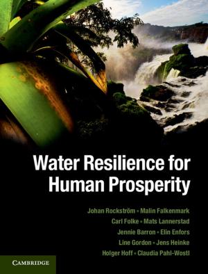 Cover of the book Water Resilience for Human Prosperity by David B. Scott, Jennifer Frail-Gauthier, Petra J. Mudie