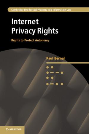 Cover of the book Internet Privacy Rights by Adolfo Arrioja Vizcaíno
