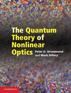 Cover of the book The Quantum Theory of Nonlinear Optics by Josef Lauri, Raffaele Scapellato