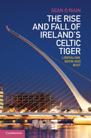 Cover of the book The Rise and Fall of Ireland's Celtic Tiger by Pavol Štekauer, Salvador Valera, Lívia Kőrtvélyessy