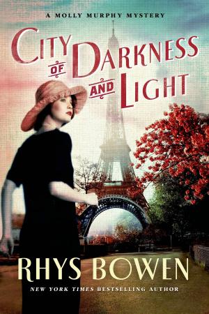 Cover of the book City of Darkness and Light by David Maine