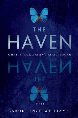 Cover of the book The Haven by Lisa Scottoline