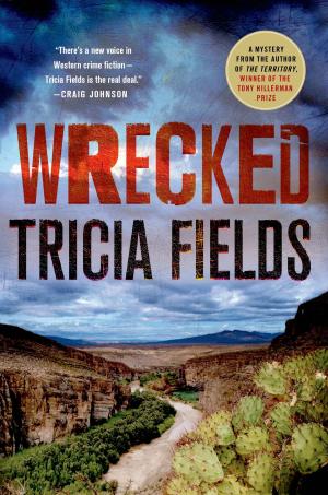 Cover of the book Wrecked by John A. Peak