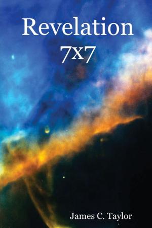 Cover of the book Revelation 7X7 by Nicolae Sfetcu