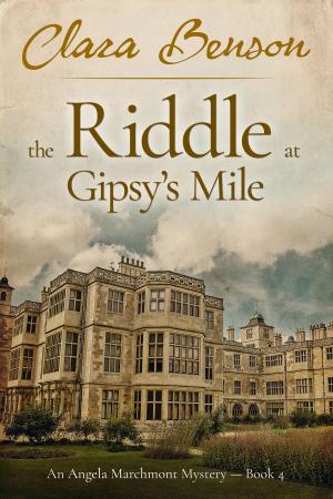 bigCover of the book The Riddle at Gipsy's Mile by 