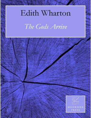Cover of the book The Gods Arrive by Felicia Calhoun