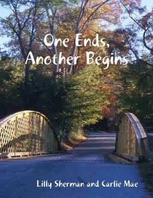 Cover of the book One Ends, Another Begins by Virinia Downham