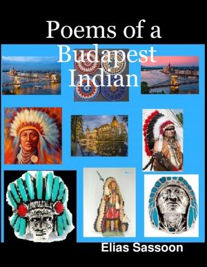 Cover of the book Poems of a Budapest Indian by Doreen Milstead