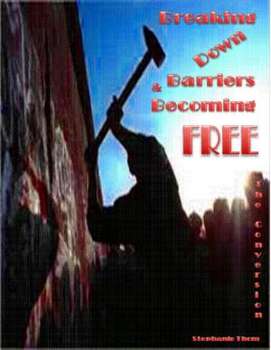 Cover of the book Breaking Down Barriers & Becoming Free by Maurice Huysman