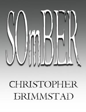 Cover of the book Somber by Dan Jones