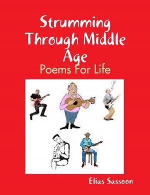 Book cover of Strumming Through Middle Age