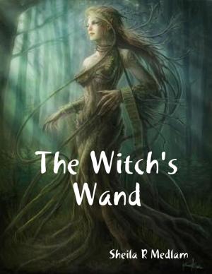 Cover of the book The Witch's Wand by Melissa Townsend