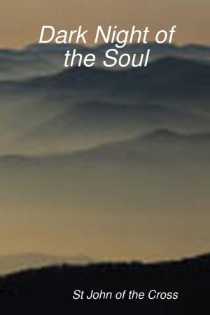 Cover of the book Dark Night of the Soul by Lynn Marsh
