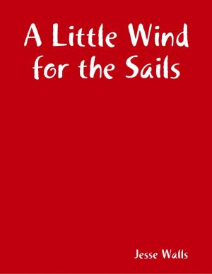 Cover of the book A Little Wind for the Sails by Titania Hudson