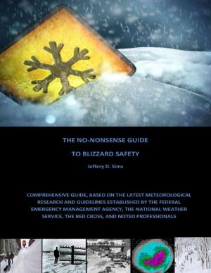 Book cover of The No Nonsense Guide to Blizzard Safety