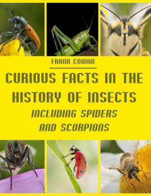 Cover of the book Curious Facts in the History of Insects : Including Spiders and Scorpions (Illustrated) by Javin Strome