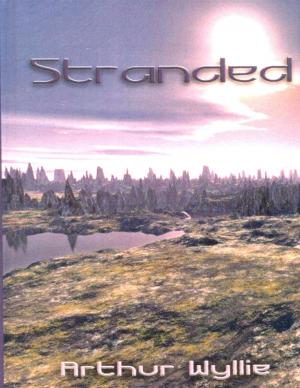 Cover of the book Stranded by Paul Gwilliam