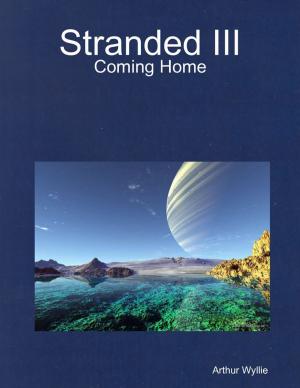 Book cover of Stranded III: Coming Home