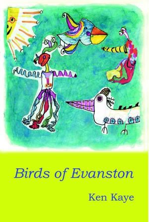 Book cover of Birds of Evanston