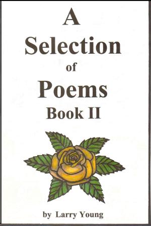 Cover of the book A Selection of Poems Book II by Jeffrey Lang
