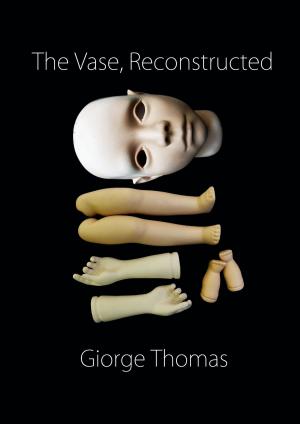 Cover of the book The Vase, Reconstructed by David Mack