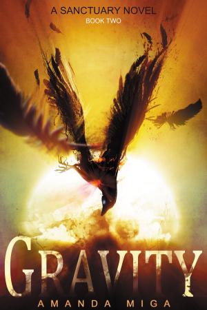Cover of the book Gravity (Sanctuary #2) by Rebekah R. Ganiere
