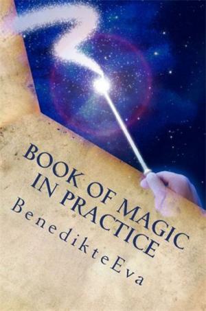 Book cover of Book of Magic in Practice: Magical Contact Lenses 2