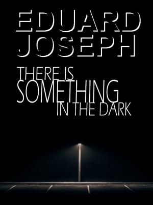 Book cover of There is Something in the Dark
