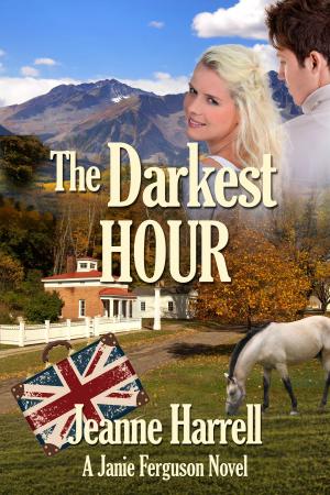 Cover of the book The Darkest Hour, a Janie Ferguson Novel by Richard Weirich