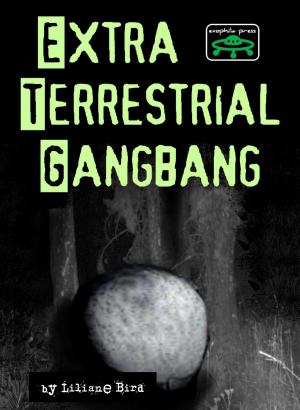 Book cover of Extraterrestrial Gang Bang