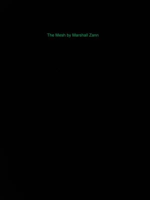 Book cover of The Mesh