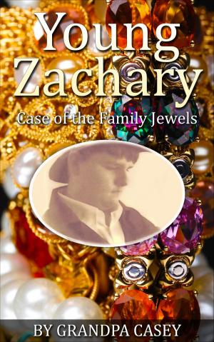 Book cover of Young Zachary Case of the Family Jewels