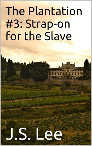 Cover of the book The Plantation #3: Strap-on for the Slave by Aaron Sans