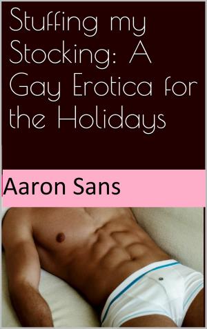 Cover of the book Stuffing my Stocking: A Gay Erotica for the Holidays by Aaron Sans