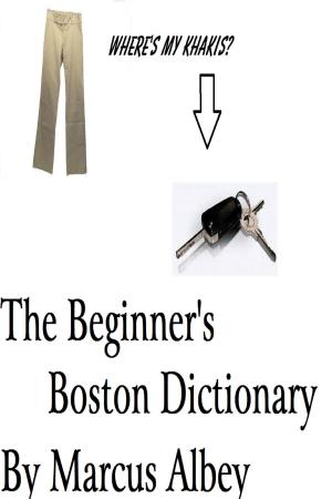 Cover of the book The Beginner's Boston Dictionary by Marcus Albey