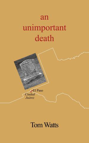 Book cover of An Unimportant Death
